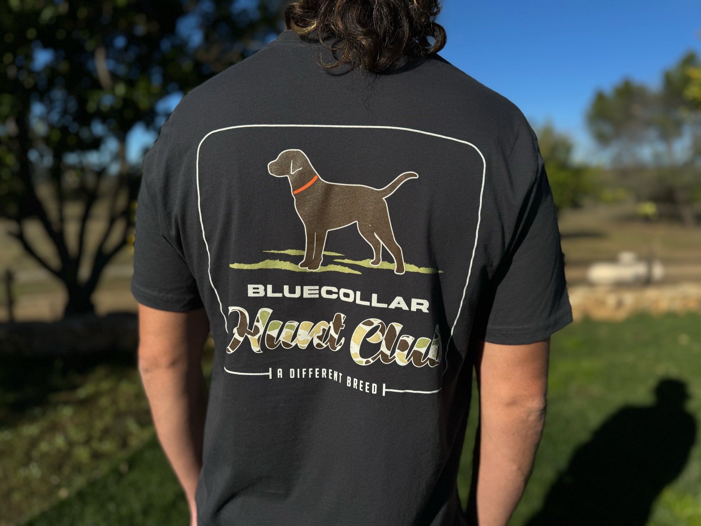 Shirts