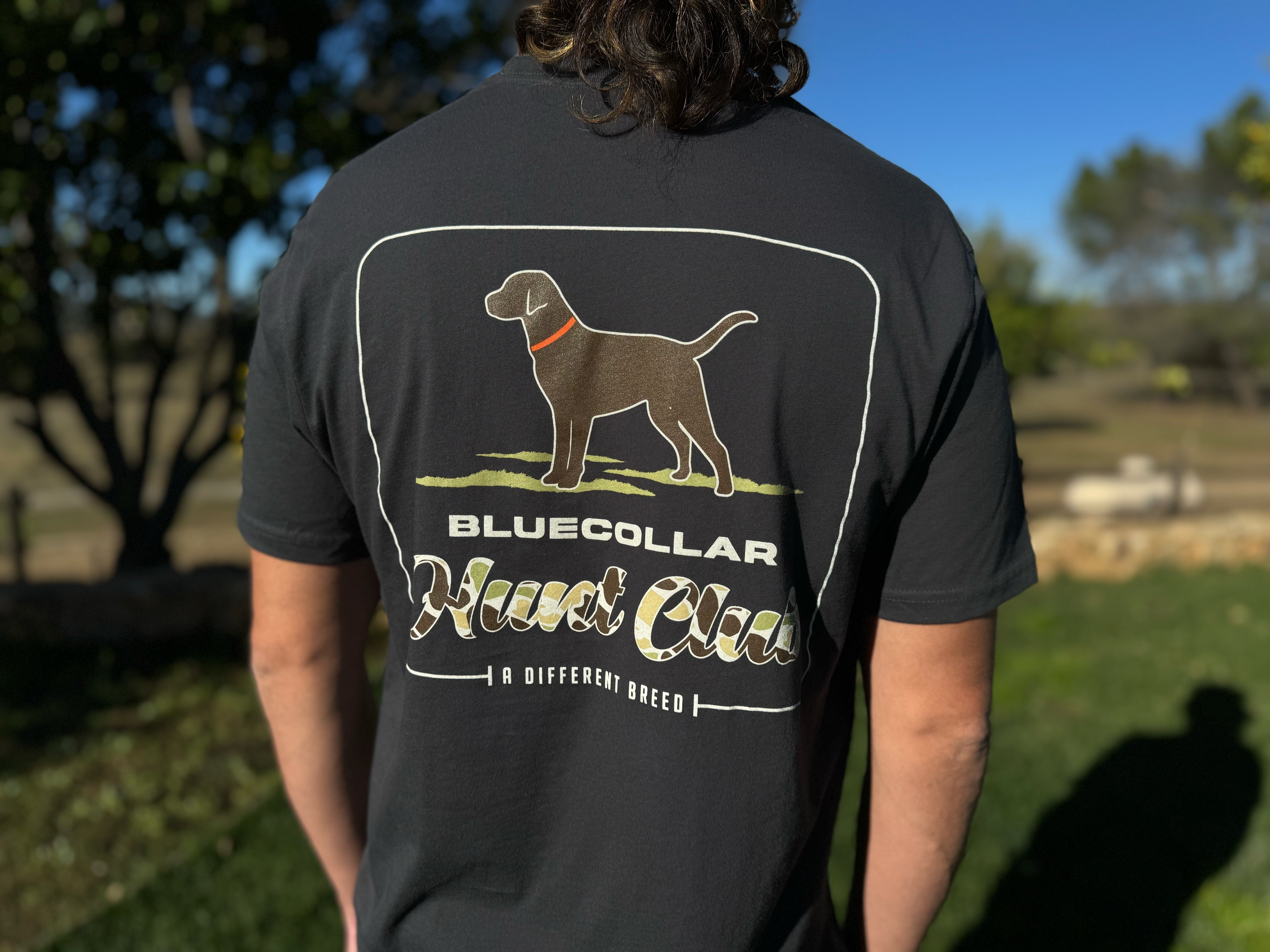 Shirts